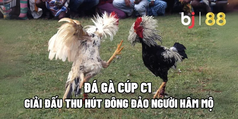 da ga cup c1