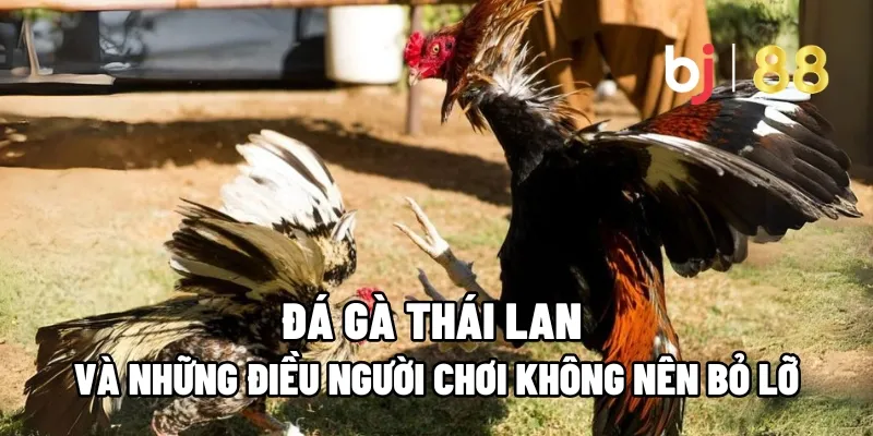 da ga thai lan