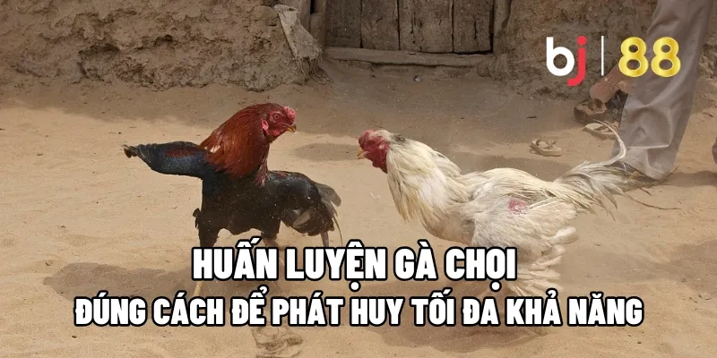 huan luyen ga choi