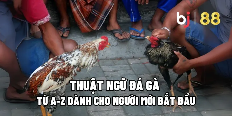 thuat ngu da ga